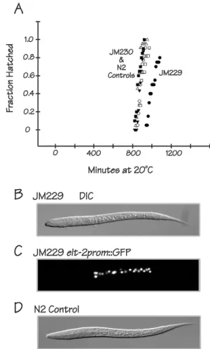 Fig. 6. ELT-2 can replace END-1, END-3, ELT-7 and ELT-4. (A) Embryos from the rescued quadruple mutant strain JM229 (black circles) hatch later than embryos from the control strain JM230 (white circles)