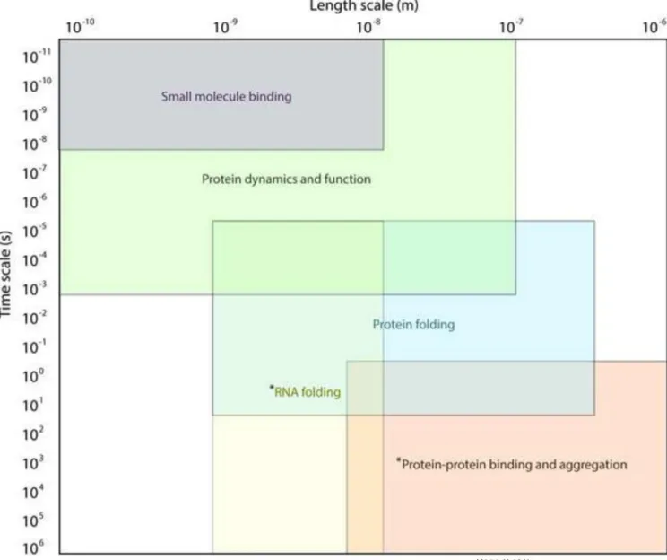 Figure 1. Length and time scales of molecular phenomena studied with DMD