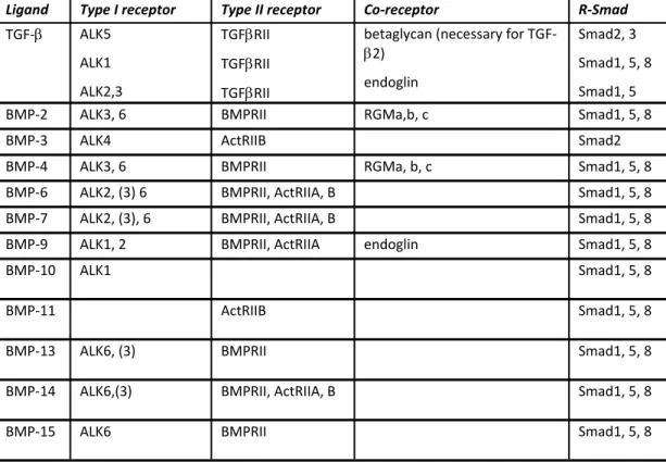 Table 2 Receptor binding of the ligands.  Receptors in brackets indicate that only weak binding  to this receptor has been observed 