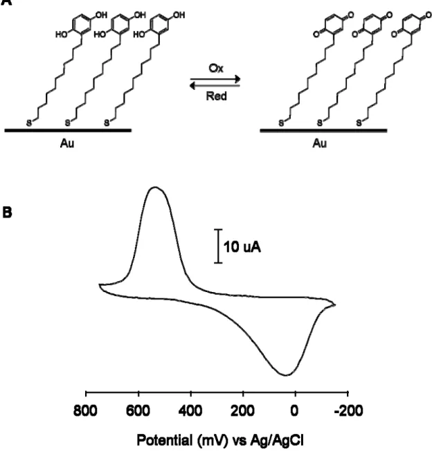 Figure 1-3. Characterization of redox active monolayers. A. The monolayer presenting  hydroquinone alkanethiols undergo reversible two electron two proton redox process