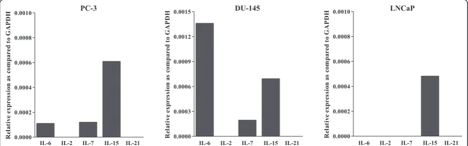 Figure 2 Expression of IL genes in PCA cell lines Total RNA was extracted from three PCA cell lines: PC-3 DU-145 and LNCaP