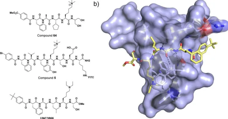 Figure 1. Peptidomimetic chromodomain ligands