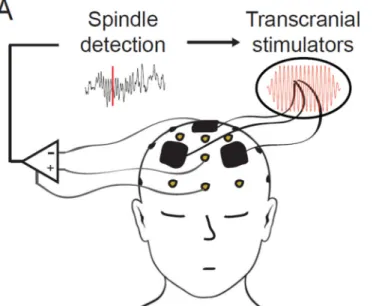 Figure 1. Feedback-controlled spindle tACS