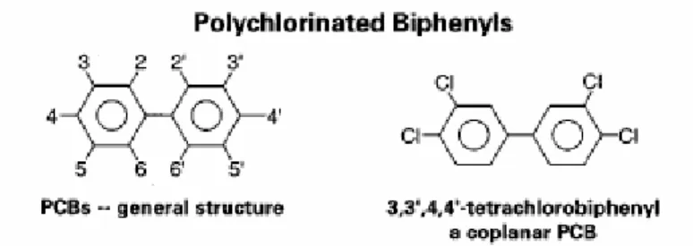 FIGURE 1.2 Chemical structures of PCBs and a specific coplanar PCB [2] 
