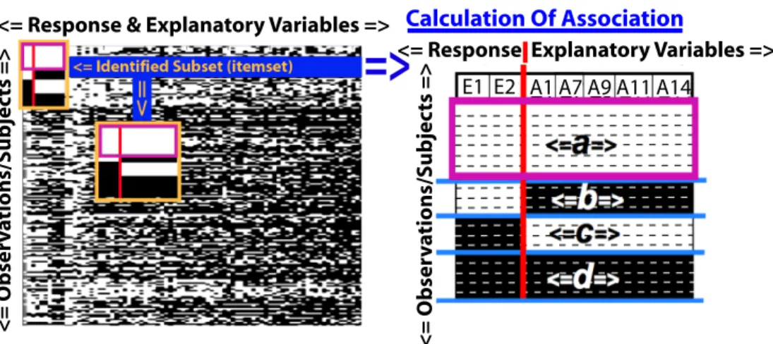Figure 4.4: Closed Frequent Itemset Mining to Identify Subsets within Binary Data. The left- left-hand side depicts the discovery of closed frequent itemsets (pink boxes) to identify subsets of data (yellow boxes)