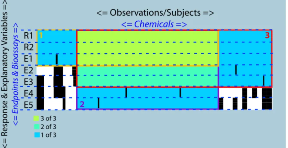 Figure 4.5: Overlapping Closed Itemsets. Rows indicated the response, R1,R2, and explana- explana-tory variables, E1-E5, columns the observations for which these three closed itemsets as  in-dicated by the three colored boxes include, 1-3