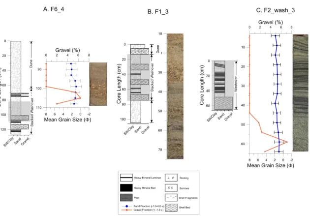 Figure 8. Lithological descriptions, grain size analysis, and photos of (A) ancient and (B, C)  modern normal graded sand beds with abundant shells that are interpreted as proximal  washover fan facies