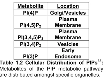 Table  1.2  Cellular  Distribution  of  PIPs 38 :  Metabolites  of  the  PIP  metabolic  pathway  are distributed amongst specific organelles