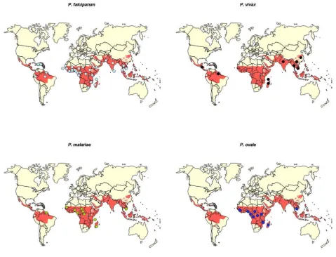 Figure 1Worldwide distribution of the isolate sequenced in the study, grouped by speciesWorldwide distribution of the isolate sequenced in the study, grouped by species