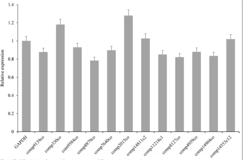 Fig. 3 RT‑qPCR validation of selected C. texanus unigenes. qPCR was conducted in triplicate