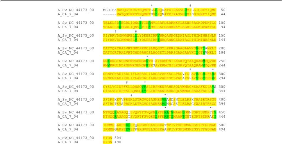 Figure 1 Sequence alignment of nucleoproteins from swine and human influenza A virus strains.associated with avian influenza A NP based on Chen et al