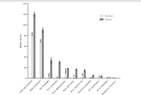 Figure 3 β-galactosidase activity in liquid culture. Β-gal activity is a quantitative measure of the strength of interaction between bait swine orhuman NP and prey human host proteins identified in the Y2H screen