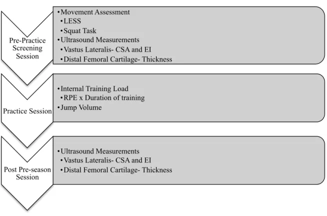 Figure 3.1 Flow Chart of Data Collection   Pre Practice Screening Session 