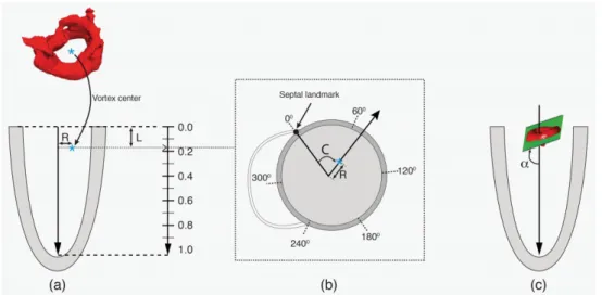 Figure 2.1. Definition of the local cardiac coordinate system (C, L, R) relative to the LV: 