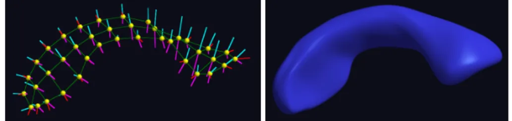 Figure 1: An s-rep model (left) and its implied boundary (right). The yellow balls are samples of the skeletal surface