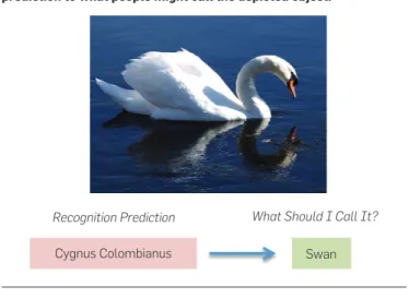 Figure 1. Example translation from a WordNet based object category  prediction to what people might call the depicted object.