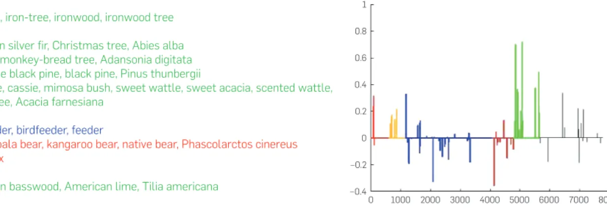 Figure 6. Entry-level category tree with its corresponding top weighted leaf node features after training an SVM on our noisy data, and  a visualization of weights grouped by an arbitrary categorization of leaf nodes