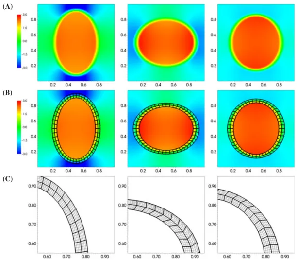 FIGURE 4 Representative results from the dynamic ( 