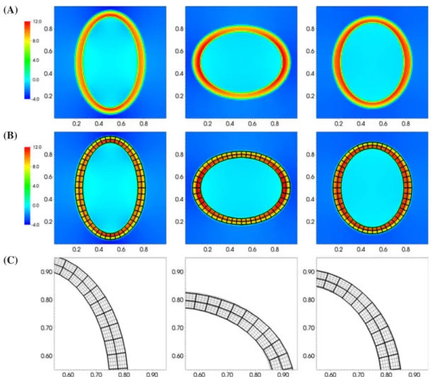 FIGURE 7 Similar to Figure 4, but here, showing results obtained using the orthotropic shell model of Section 5.1.2 for N = 128 and the partitioned (split) weak formulation over the time interval 0 ⩽ t ⩽ 1.25