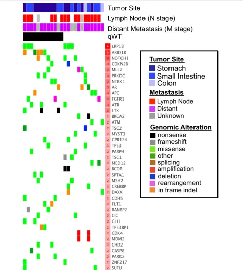 Fig. 2 Deleterious genomic alterations, genes and tumor sites in Wild‑Type GIST. Matrix demonstrating genes recurrently mutated in WT GIST patients, with each column representing an individual patient