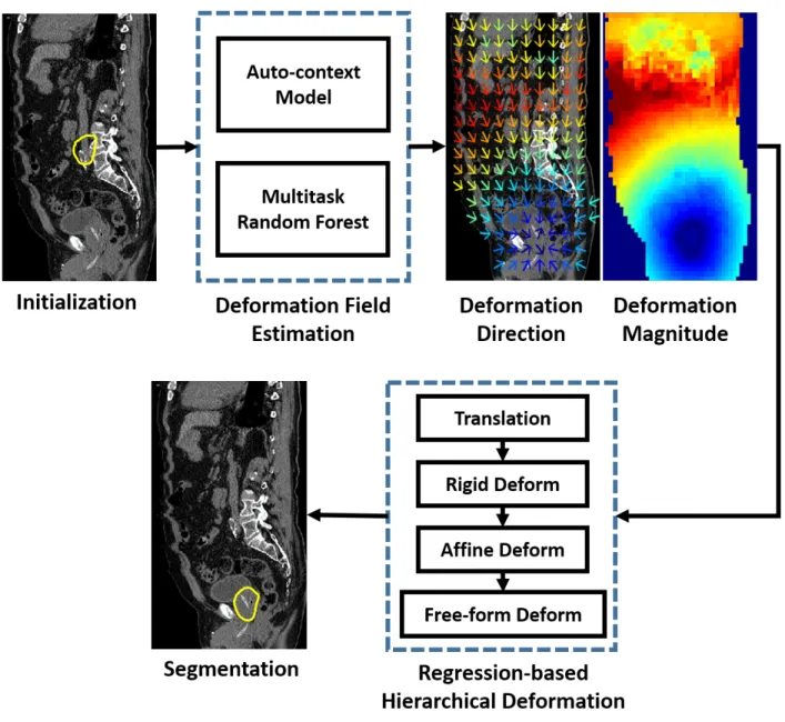 Figure 3.1: The flowchart of regression-based deformable model. The yellow contours in the first and second rows indicate the initialized deformable model and the final segmentation, respectively