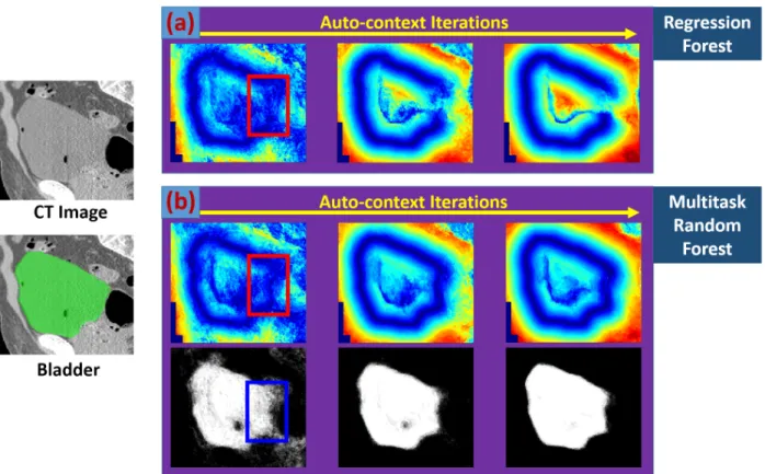 Figure 3.8: The missing boundary problem. Red rectangles indicate the image region where deformations are not well predicted