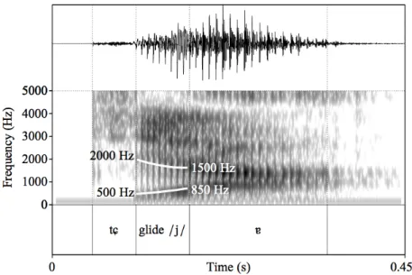 Figure 1 The spectrogram of the whole syllable /tɕjɐ 1 /. 