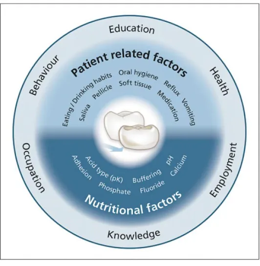 Figure 1: Interactions of the Different Factors for the Development of ETW 1