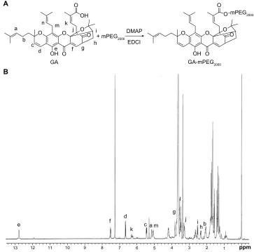 Figure 1 Synthesis and identification of GA-mPEG2000 copolymers. (A) chemical reaction scheme for preparing the ga-mPeg2000 conjugate