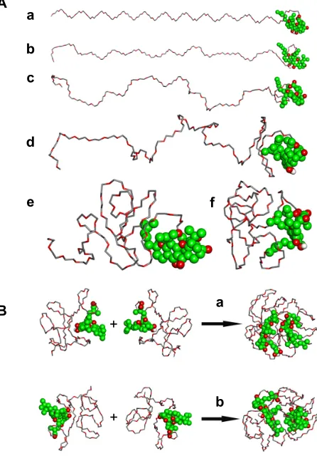 Figure 4 Molecular modeling studies of ga-mPegfilling style, its carbon atoms were colored with green, and its oxygen atoms were 2000 micelles