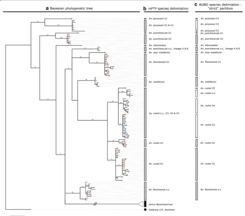 Fig. 2 Phylogenetic and species delimitation analysis detailing collection specimens and reference sequences belonging to the Genus Anopheles