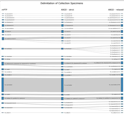 Fig. 5 Summary of all species delimitation analysis of collection specimens from Acre, Amazonas and Rondônia