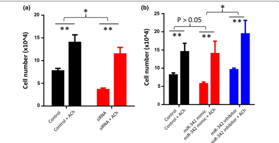 Fig. 6 Schematic representation of the effects of IA-2 siRNA and miR-342 mimic on SCLC cell proliferation through ACh autocrine function