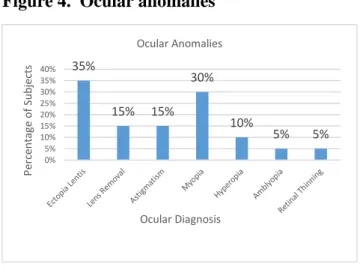 Figure 4.  Ocular anomalies 