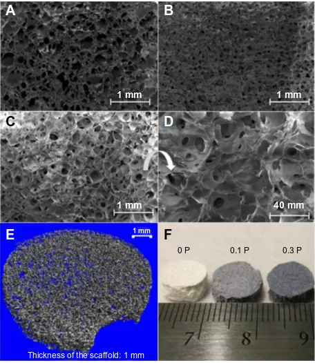 Figure 5 scanning electron micrograph of the (A) 0 P, (B) 0.1 P, and (C) 0.3 P scaffolds, and the (D) 0.3 P scaffold at high magnification