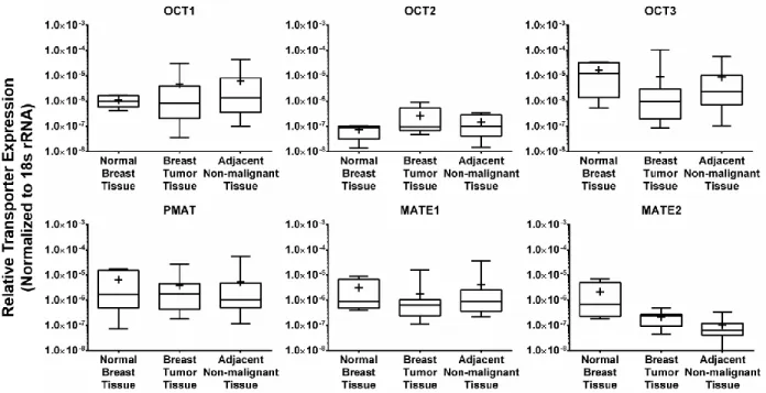 Figure 2.2 Expression of Cation-selective Transporter Genes in Normal Breast Tissues,  Breast Tumor Tissues and Their Adjacent Non-malignant Tissues