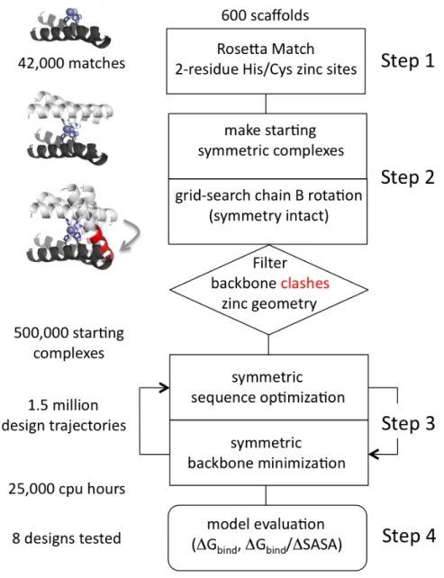 Figure  3.2.    Flow  chart  of  the  protocol  for  the  design  of  the  symmetric  metal- metal-mediated interface