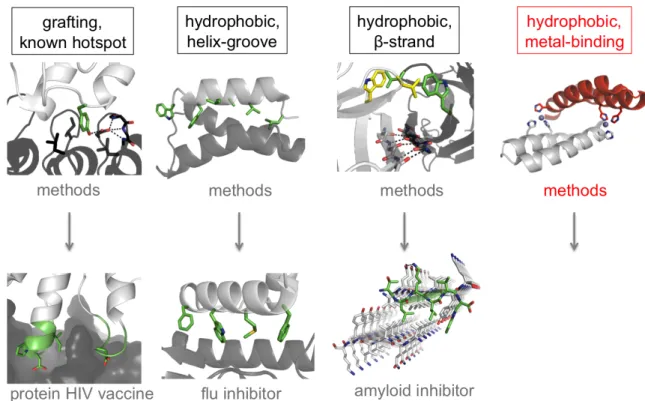 Figure  1.3.    Validated  strategies  for  computational  design  of  new  protein-protein  interactions