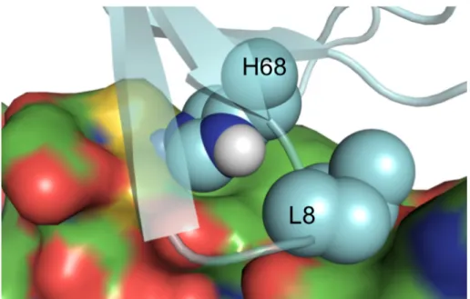 Figure  S2.10.    The  backside  H68  delta  nitrogen  is  partially  buried  without  a  hydrogen bond