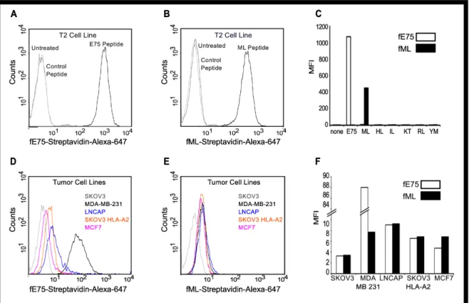Figure  3.  Fabs  bind  specifically  to  endogenously  processed  and  presented  levels  of  pMHC  molecules