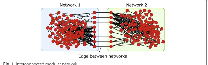 Fig. 1 Interconnected modular network