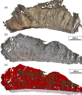 Figure 4. Overview of the SfM-MVS photogrammetry models.(b) (a) Model of White Canyon West (WCW) taken on 30 January 2017