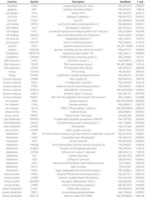 Table 3 Up-regulated genes in cirrhotic and non-cirrhotic HCV liver biopsy samples