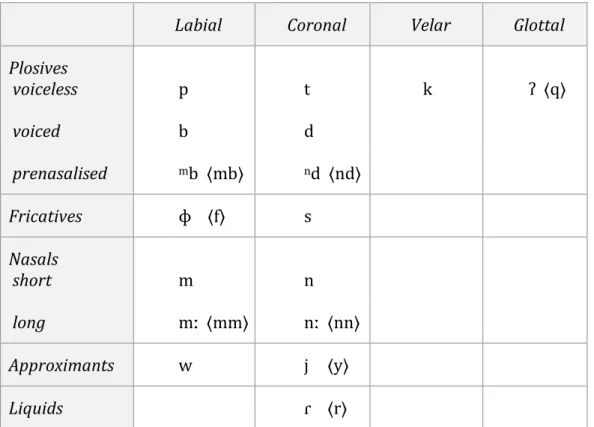 Table 2: Binumarien consonant segments. 