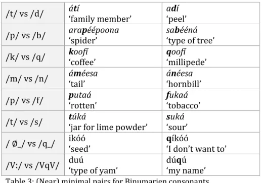 Table 3: (Near) minimal pairs for Binumarien consonants. 