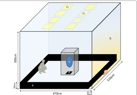 Fig. 3 Schematic view of the swarming room with stimuli necessary to stimulate swarming behavior: a black horizon; b bright wall with an incandescent bulb behind the black horizon;  c1 and  c2 programmed ceiling light (LED panels) to simulate sunset; d ground marker; e Swarm into a cage; f observer looking at the swarm with the bright wall as background