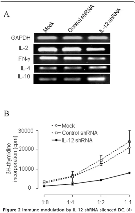 Figure 2 Immune modulation by IL-12 shRNA silenced DC2, IL-4 and IL-10 were detected by RT-PCR