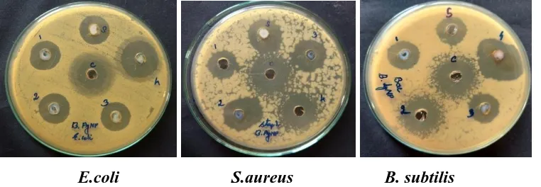 Fig 8: Antibacterial activity of synthesized nanoparticles 