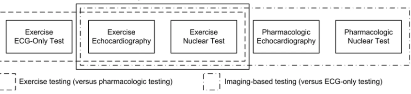 Figure 2.3: Forms of stress testing commonly performed in the United States 