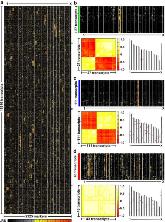 Figure 2. Genome-wide clustering of the genetic control of gene expression in liver. 